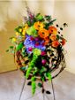 A Vibrant spray of bright Yellow-Orange Gerber Daisies , Pink Roses, Bi-color Carnations, Bells of Ireland and Hydrangea blossoms on a Grapevine Wreath