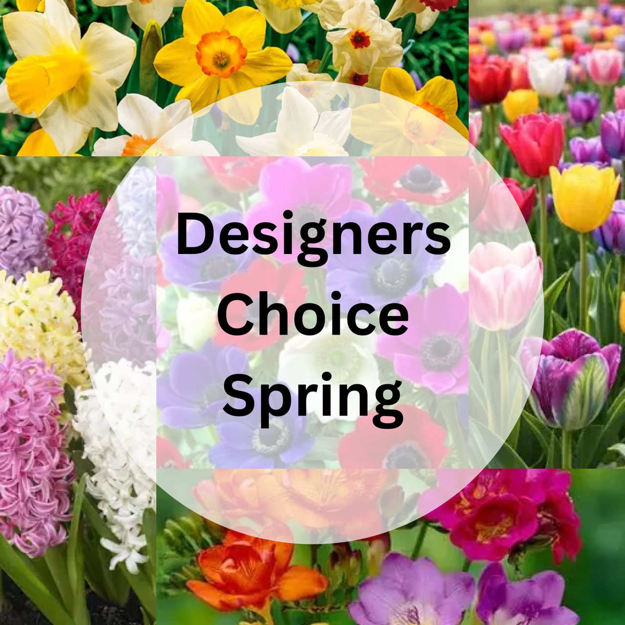 Collage of various spring flowers