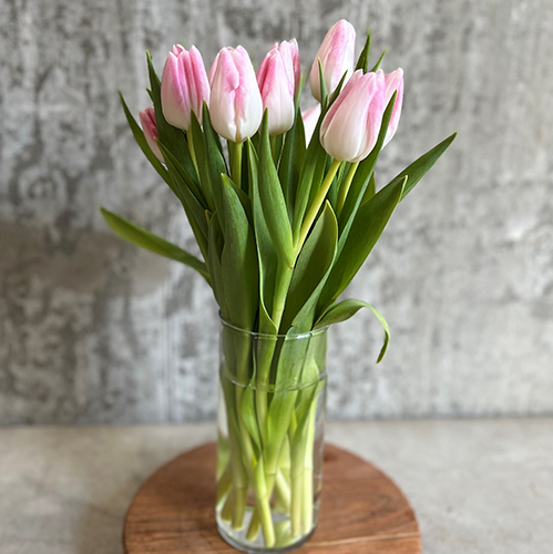 pink tulips