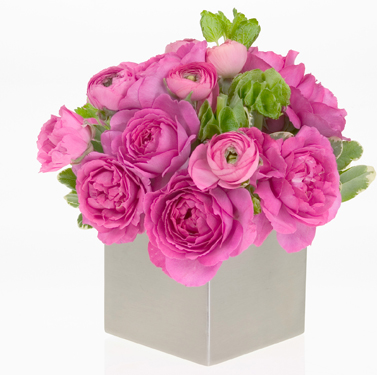 Twenty four gorgeous Long Stem Roses in a clear vase