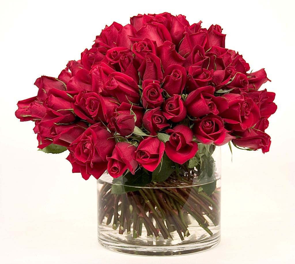 100 red Roses proclaiming her beauty ... topping a low glass cylindrical vase.