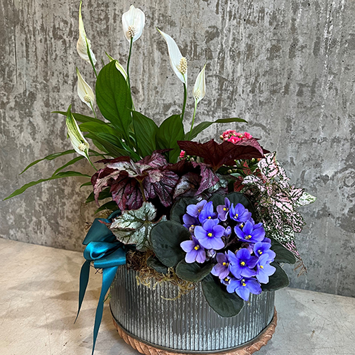 Mother's Day Garden