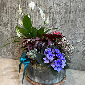 Mother's Day Garden