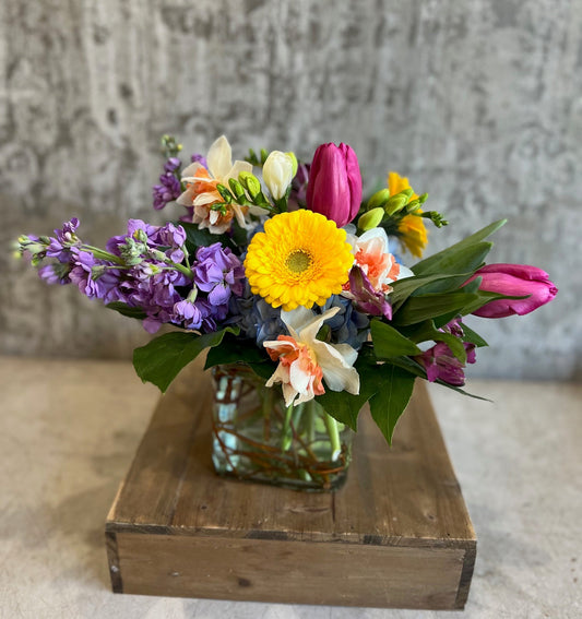 Spring’s most iconic blooms