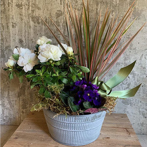 Garden Party! Delight someone with this garden of Blooming and Green Plants. A vibrant long lasting mix of plants in an unique tin or basket.  Plants and container will vary