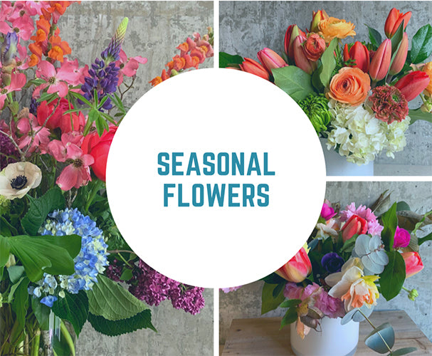 A mix of flowers that are currently in season. Designers select and arrange from the freshest array of colors and greens in the container shape of your choice.  Selection will change throughout the year to match the season. Sizes from $60 to $300.