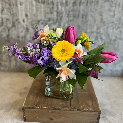 Spring's Iconic Blooms