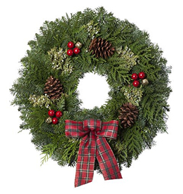 holiday preorder 02
